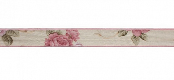 Лента декоративная 2см*25м (1)