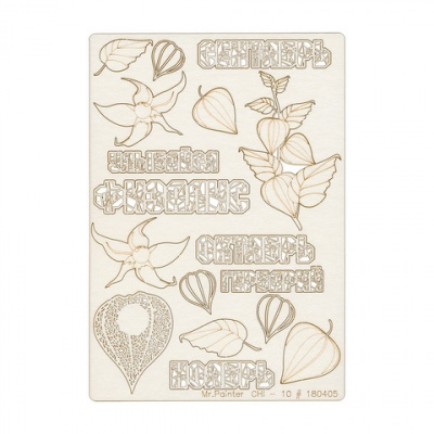 Чипборд картонный "Mr.Painter" CHI-10 Физалис 11.5 см х 16.5 см 1шт.