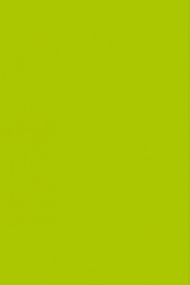 Фоамиран иранский ЭВА арт. 119 (30) лист 60х70см Желто-зеленый уп./ 2 листа