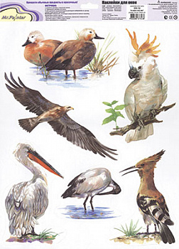 Наклейки для окон Mr.Painter ОК-12 В мире птиц 4