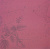 Бумага "Рукоделие" 20,3х20,3 см Artie Vintage Rose 210920-001-14 Бумага "Рукоделие" 20,3х20,3 см Artie Vintage Rose 210920-001-14