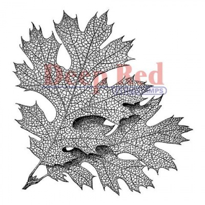 Резиновый штамп «Elm Leaves», 7,6x7,8см