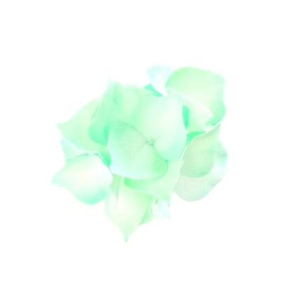 Ревелюровые цветы "FomFantasy" Г-003, гортензия (4,5 * 3 см)  цв.мята