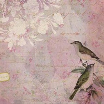 Бумага: Птицы любви (флора и фауна) 31х31/25