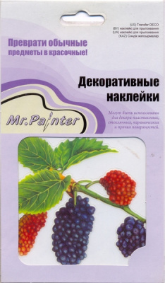 Наклейки Mr.Painter Декоративные 10х10см Ежевика