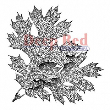 Резиновый штамп «Elm Leaves», 7,6x7,8см