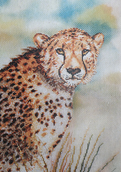Набор для вышивания Anex-bis Гепард 23х36 см