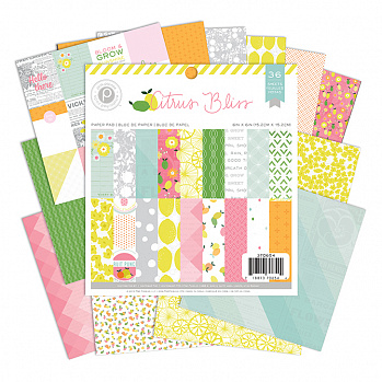 Набор бумаги Pink Paislee "Citrus Bliss" 15,2х15,2см (36 листов)