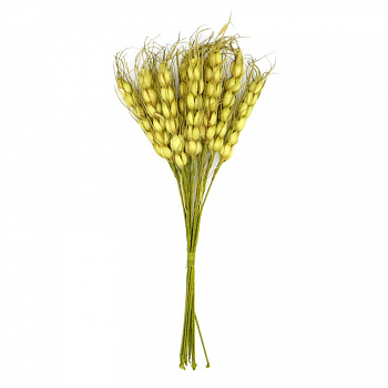 Декоративный букетик "Рукоделие" Колоски пшеницы, DKB033
