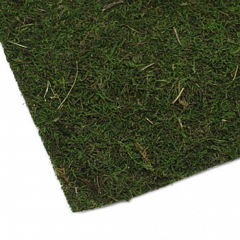 Мох натуральный обработанный листовой 45*325см BH201ALB-45