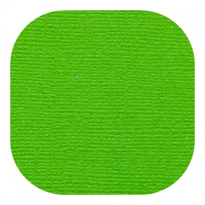 Бумага текстурированная "Рукоделие" BO-21 ТРАВЯНОЙ, 235г/м2, 305х305мм, 10 листов