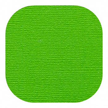 Бумага текстурированная "Рукоделие" BO-21 ТРАВЯНОЙ, 235г/м2, 305х305мм, 10 листов