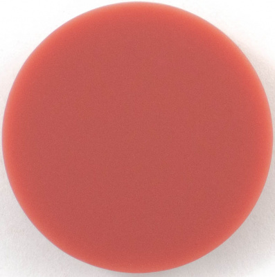 Пуговицы в тубе "Колибри" NE19 Brown 40L (25мм) 18шт.