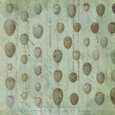 Бумага: Яйца (флора и фауна) 31х31/25