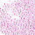 Бисер «Preciosa» 50 г, 331-19001-10/0-38626