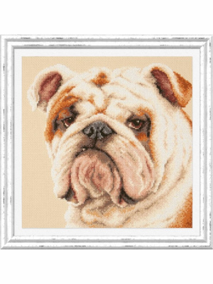 Набор для вышивания «Чудесная игла» 59-21 Английский бульдог 25 х 25 см