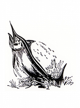 Резиновый штамп «Swordfish», 7,6x7,6см