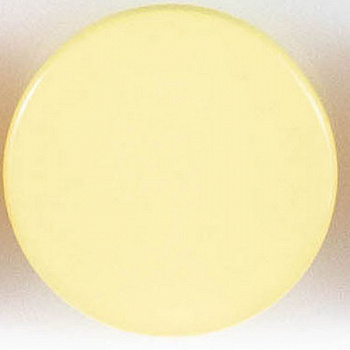 Пуговицы  "Колибри" PS21 Yellow ( желтый ) 18L