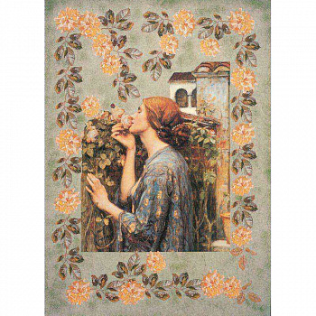 A4-077 My Sweet Rose