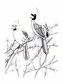 Резиновый штамп «Cardinals», 8,2x10,8см